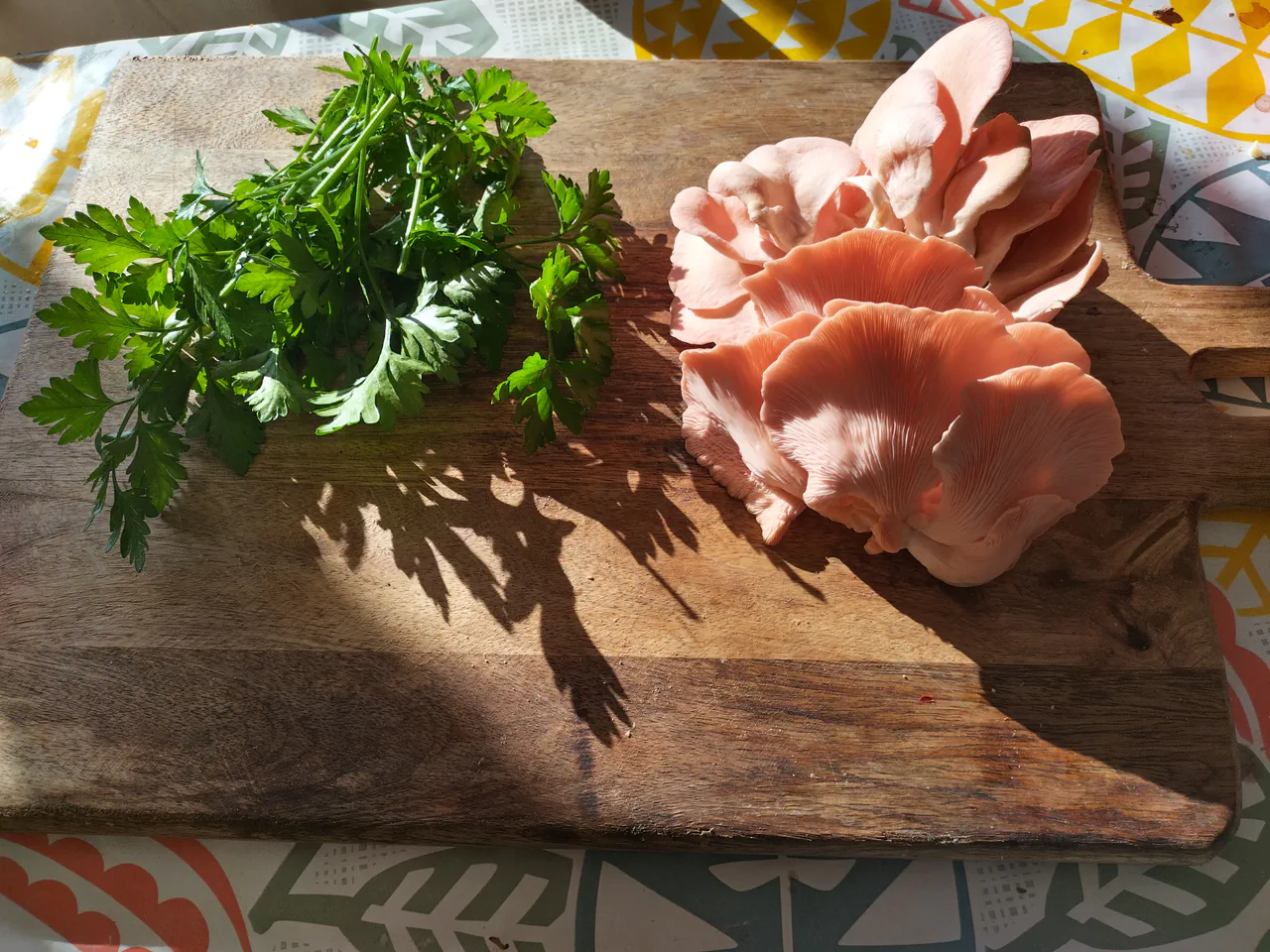 Fresh pink oyster mushrooms and home-grown parsley arranged on a wooden chopping board in natural sunlight